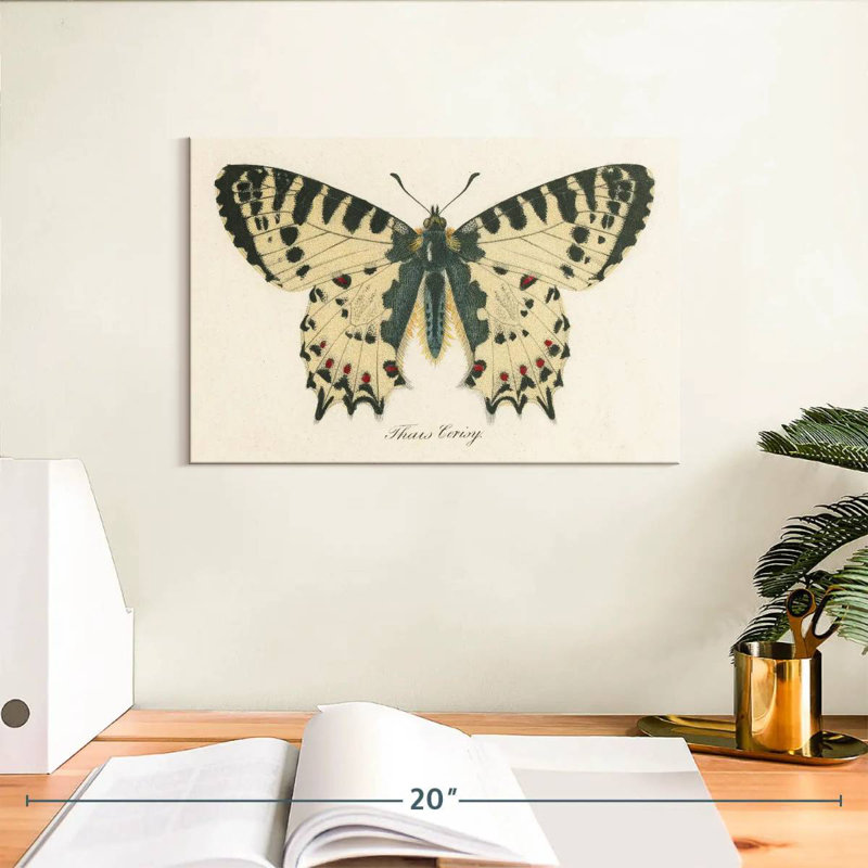 Brampt natures papillon I, H 8 po x l 12 po