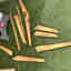 Photos des clients 1 de 1