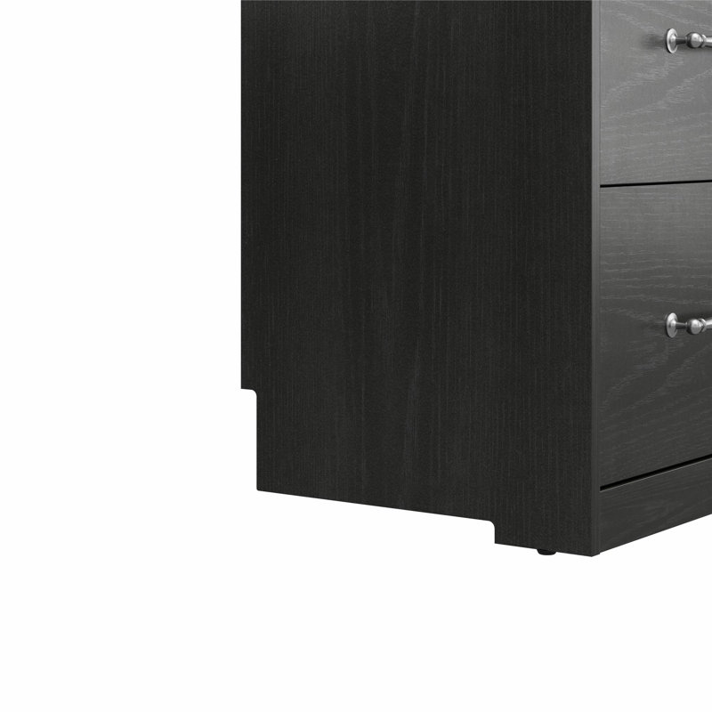 Novogratz Her Majesty 2-Drawer Storage Cabinet-Style Bookcase with Drawers, Black Oak