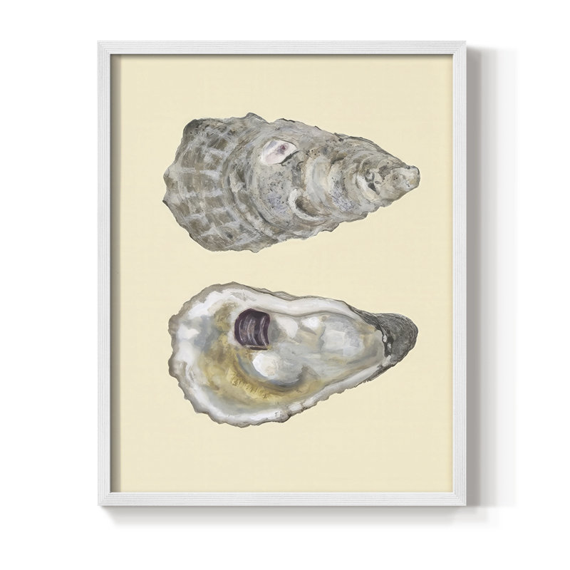 Bivalve Shells IV Framed Print - Solid Wood, 30" H x 24" W, White
