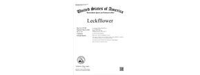 leckfllower Logo