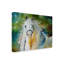 Duniya «White Cloud The Andalusian Stallion», reproduction de peinture acrylique sur toile tendue-29769688