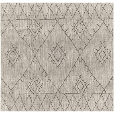 Hongming Southwestern Indoor / Outdoor Rug