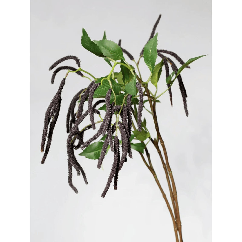 Branche suspendue Amaranthus - 27 po, [A] 1 tige