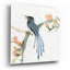 «Formose Blue Magpie» par Chris Paschke - reproduction non encadrée-1476389909-1443402697