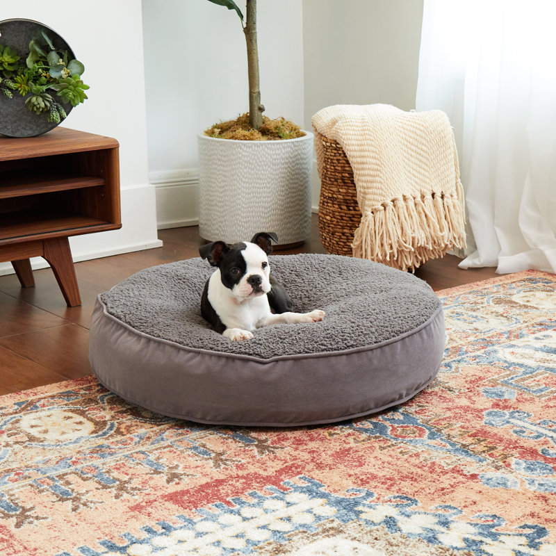 Lit pour chien Alyzae, Moyen (l 36 po x P 36 po x H 6 po), gris