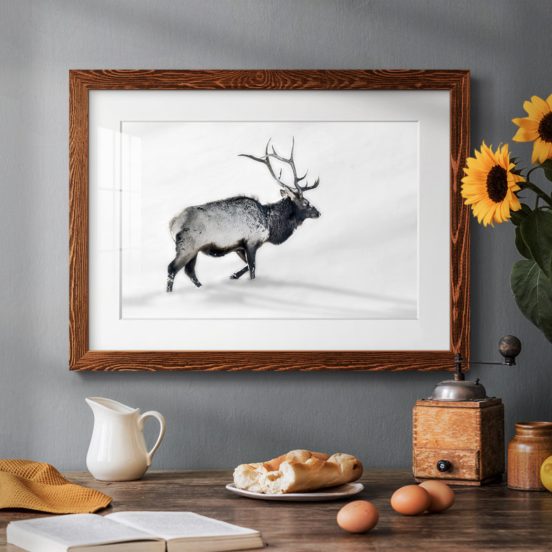 Lone Bull encadré sur papier, Érable, H 18 po x l 26 po x P 1,5 po