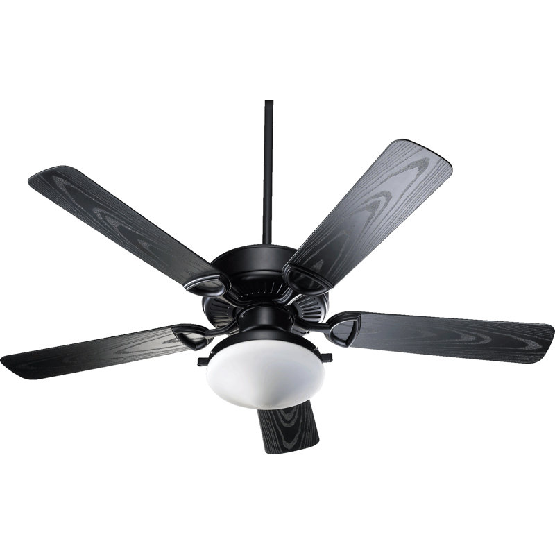 Ventilateur de plafond 52 po Wojtowicz, Noir mat