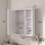 Armoire de rangement multifonctionnelle 24 po en MDF mural de haute qualité