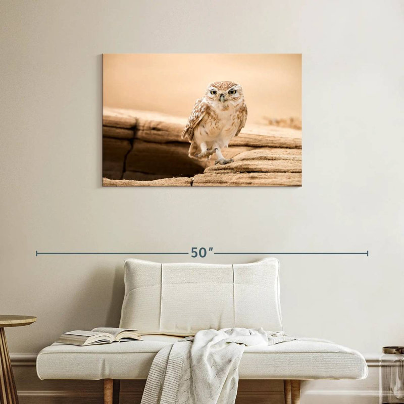 Brampt Desert Owl, 24" H x 36" W