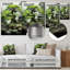 «Japon Bonsai Serenity I» sur métal-496699399