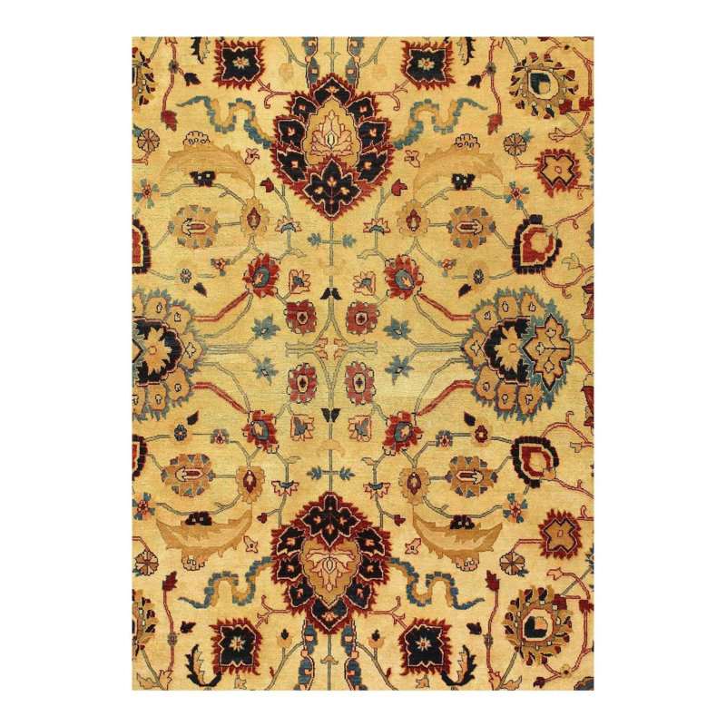 Oriental Area Rug in Beige