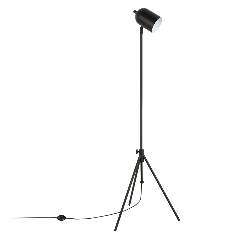 Alexa 56'' Tripod Floor Lamp, Blackened Bronze