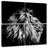 Brampt Proud Lion Head-109134506