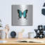 «Blue Butterfly» par PhotoINC Studio-1144051271