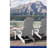 Ayron Foldable Outdoor Adirondack Chair With Ottoman-206718815