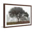 «There Was A Tree», reproduction encadrée-549160050
