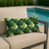 Chou vert Savoy n'est pas disponible
