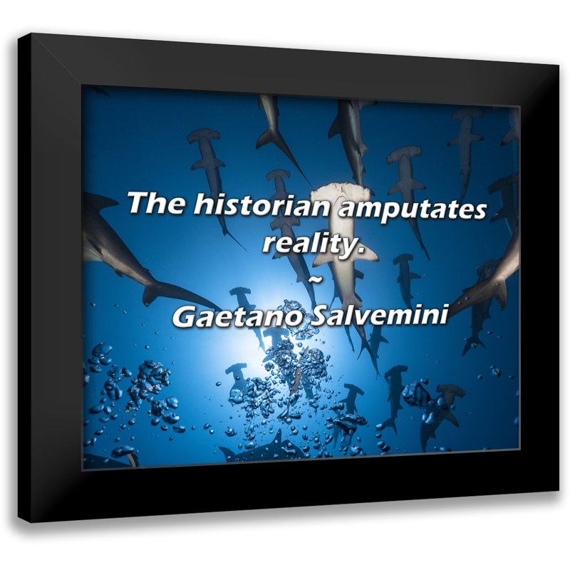 Citation de Gaetano Salvemini: «The historian amputes réalité».