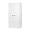 Cedric 2 Door Wood Wardrobe