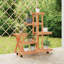 Ashan Plant Stand-1947955681