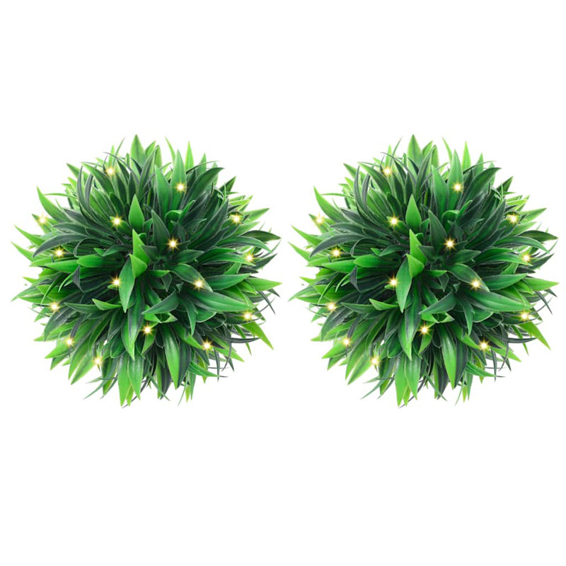 20cm Plant