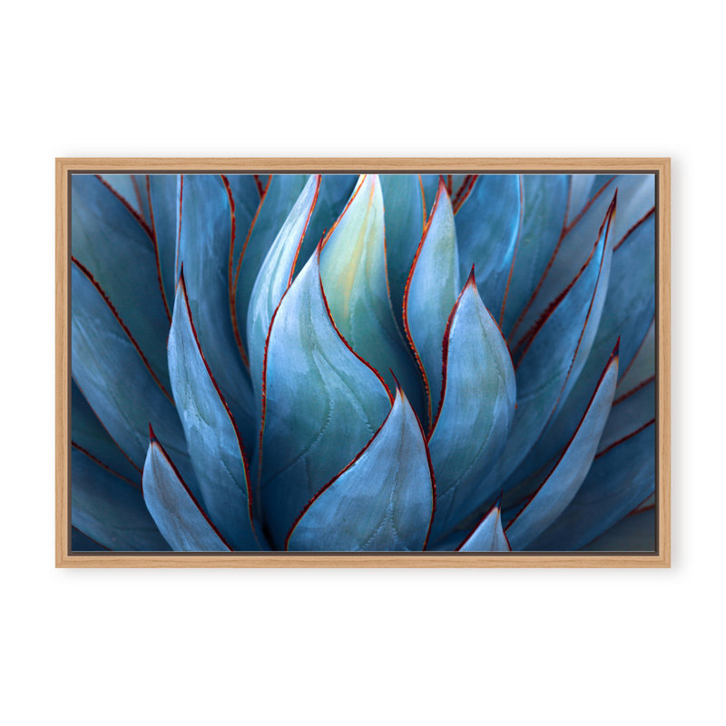 Nature Inspired Blue Agave Abstract by  - Picture Frame Graphic Art on Paper, 32" H x 48" W x 1.125" D, Black