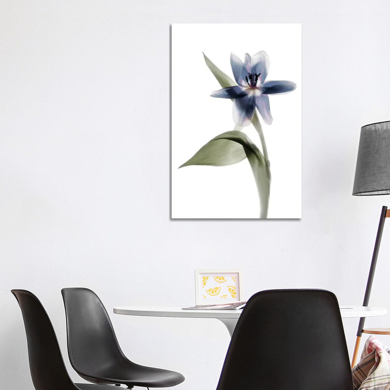 X-Ray Tulip VII by Judy Stalus - Wrapped Canvas Print, 101.6 cm H x 66.04 cm W