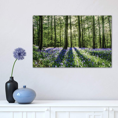 «Bluebell Wood», reproduction