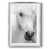 Argent argent n'est pas disponible