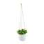 Pot à fleurs suspendu en céramique Rosaria-187824002-187824061