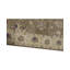 Oriental Area Rug in Brown