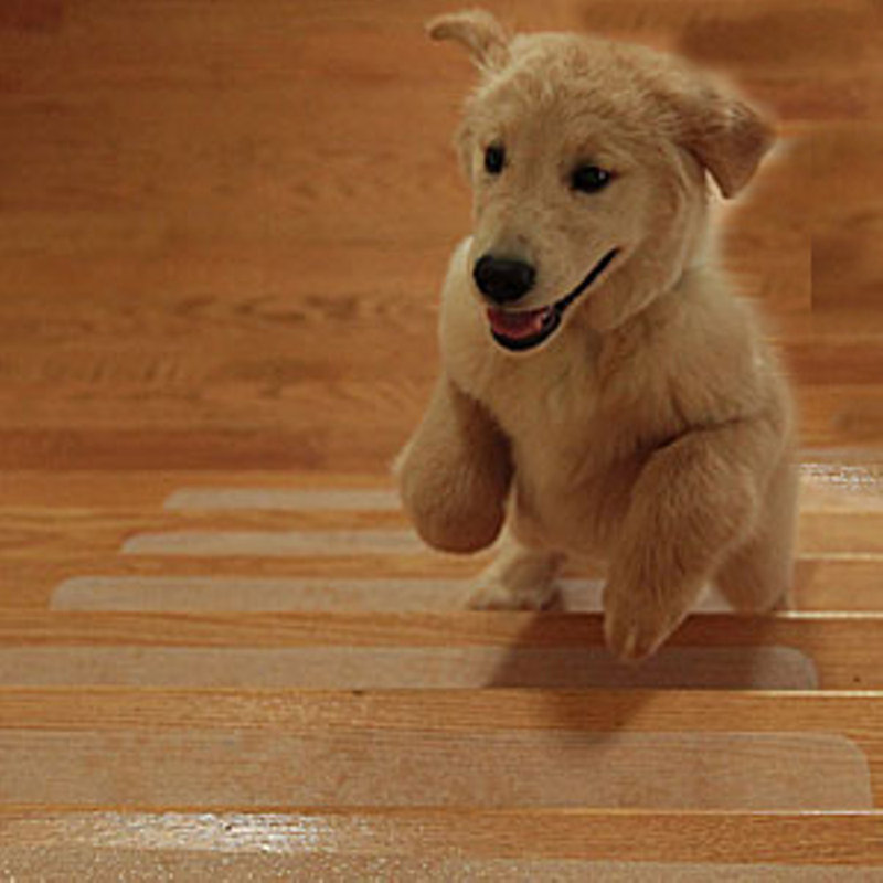 Tapis d'escalier Brandie Puppy