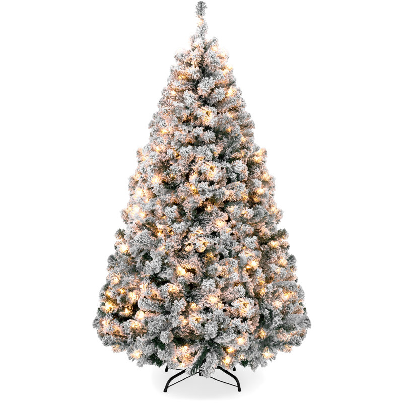 Lighted Christmas Tree