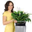 Rondo Pot Planter-29387142-29387138