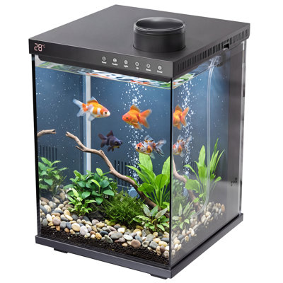 Ensemble de démarrage pour aquarium en verre intelligent de 15 litres (4 gallons) avec distributeur automatique de nourriture, éclairage DEL réglable, système de filtration, affichage de la température et pompe à eau pour bettas, crevettes, guppys et petits poissons.