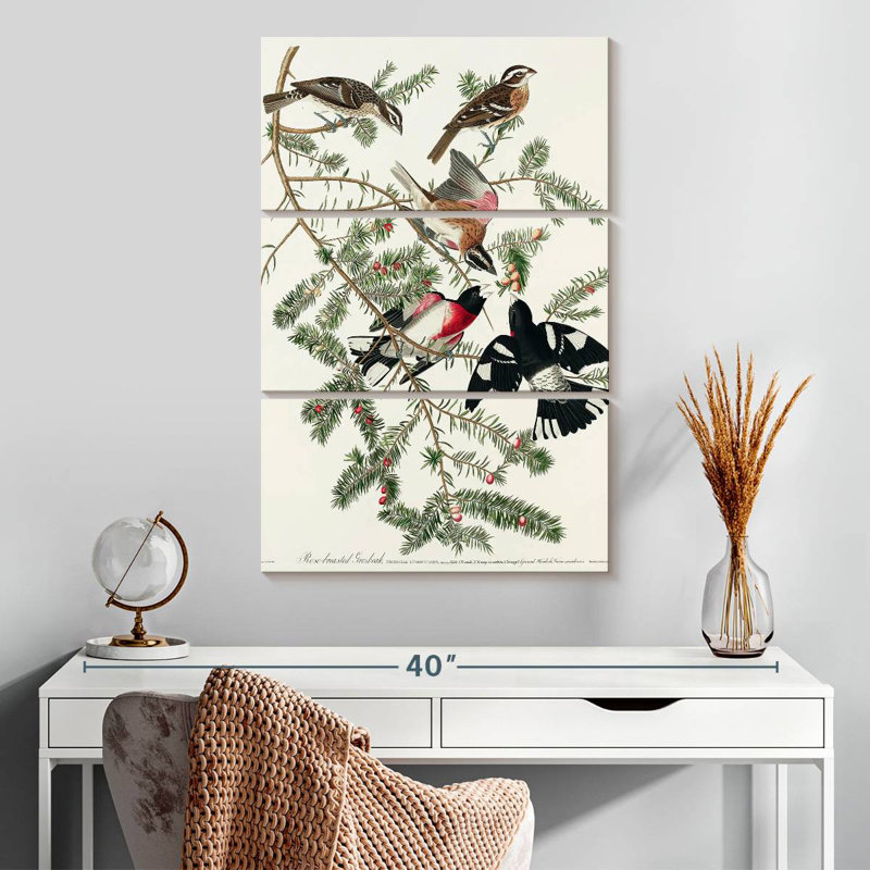 Brampt Rose Breasted Grosbeak, 32" H x 20" W