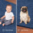 Modern Plush Pet and Kids Friendly Solid Color Royal Blue Area Rugs, Stain & Fade Resistance, Perfect for Living Room, Dining Room, Bedroom, Playroom and Kidsroom, Event, Wedding, Amberrae Binded Rug-1122957921