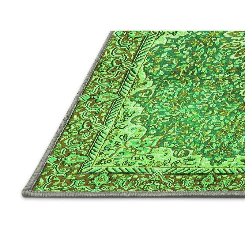 Amandah Washable Oriental Indoor Rug, Rectangle 7' x 10'