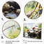 Ant Tiny Explorers II, reproduction d'art sur toile-813693188-813693191