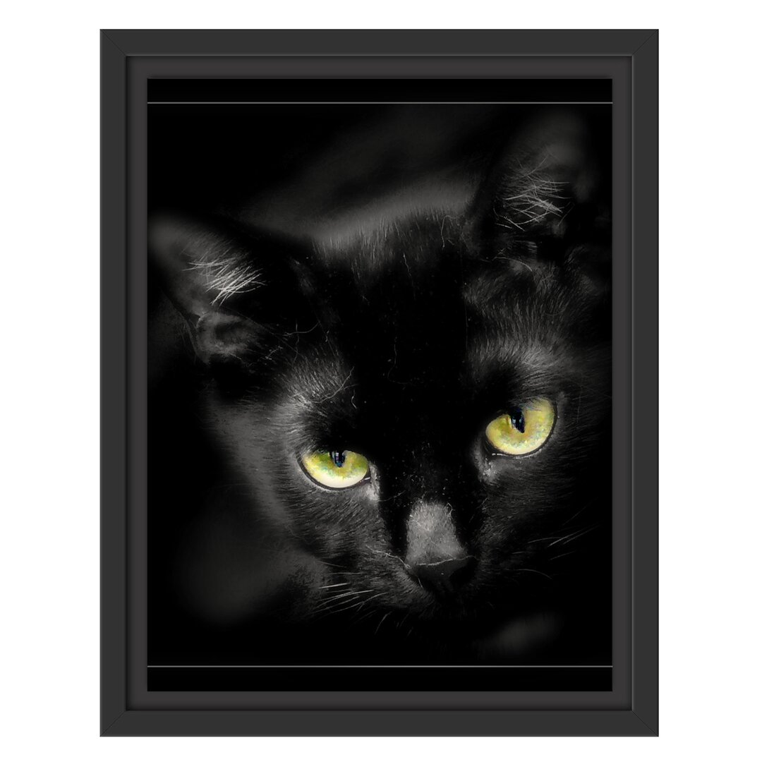 Gerahmtes Wandbild schöne schwarze Katze