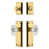 Lifetime Brass est en rupture de stock