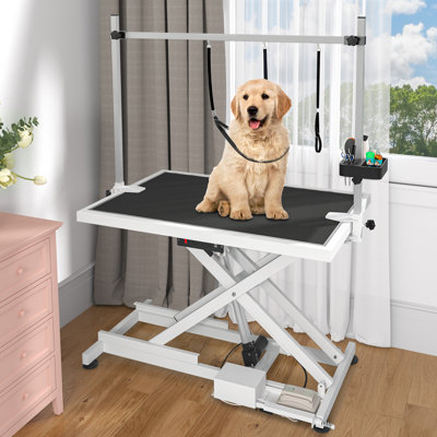 47'' W x 26'' D Electric Grooming Table