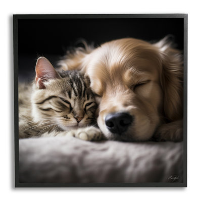 Az-177-Framed " Cat And Dog " by Roozbeh