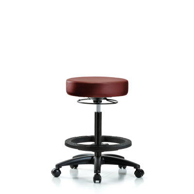 Hivda Adjustable Height Ergonomic Lab Stool with Footring Wheels