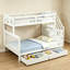 European Single (90 X 200 Cm) Bunk Bed Bed Frame