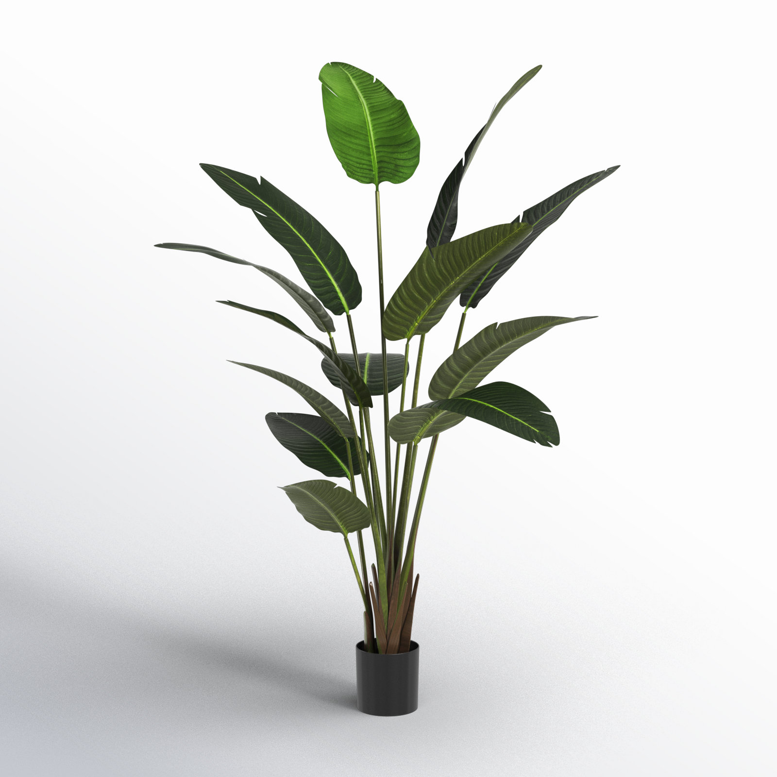 Opalhouse 72in on sale Banana Tree in White Cement Pot