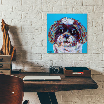 «Shih Tzu On Blue» par Carolee Vitaletti