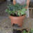 Classic Deck Rail Traditional Plastic Indoor/Outdoor Round Planter-145363549-219984326