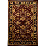 Himalayan Wool Oriental Area Rug in Beige